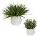 Edgewood Green with White Glaze Greenery, Set of 2