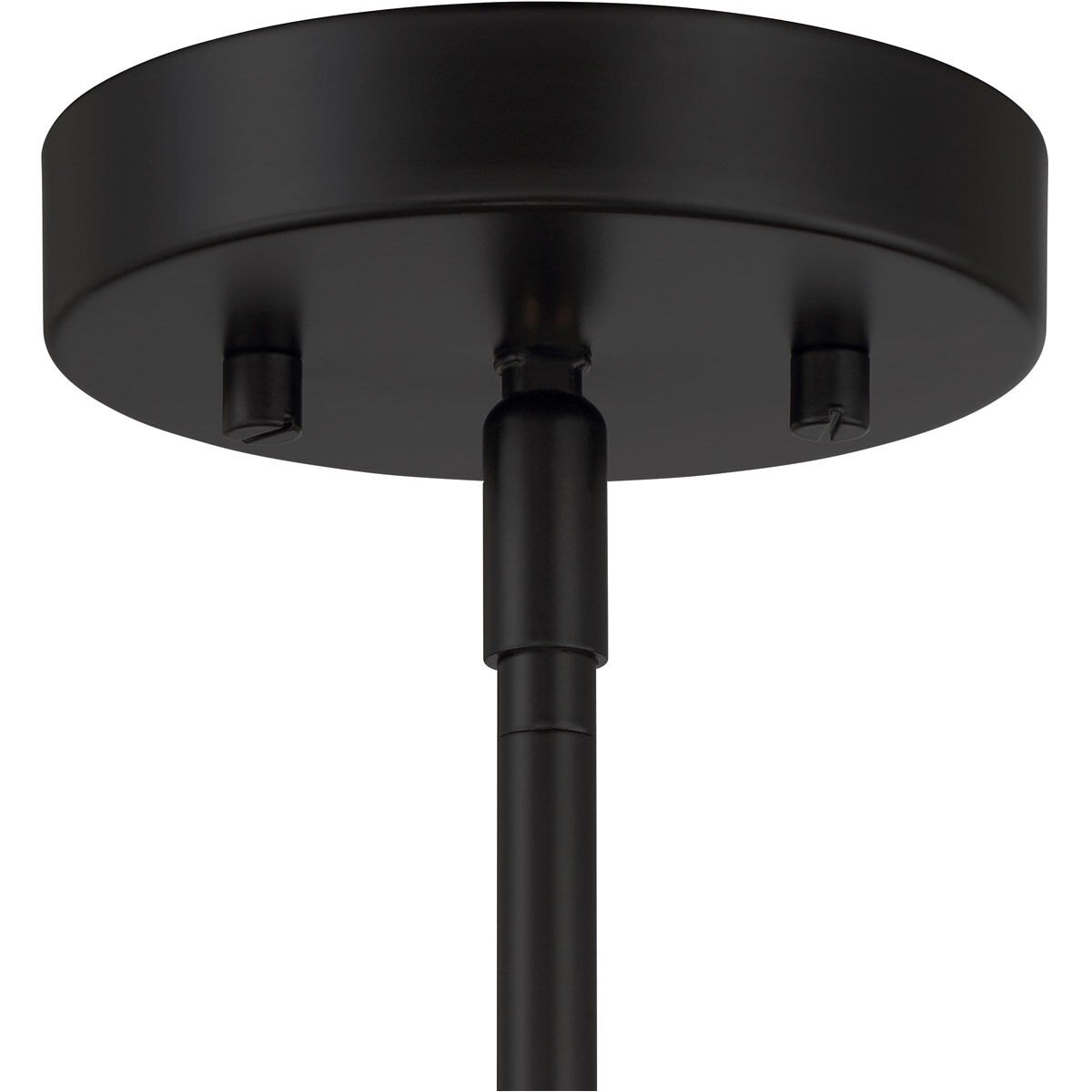 Hailie 4 Light 14 inch Flat Black Pendant Ceiling Light