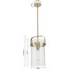 Pilaster 1 Light 9.38 inch Brushed Brass Pendant Ceiling Light in Seedy Glass