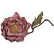 Poppy Flower Pink Object