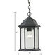 Spring Lake 1 Light 8 inch Matte Textured Black Outdoor Pendant