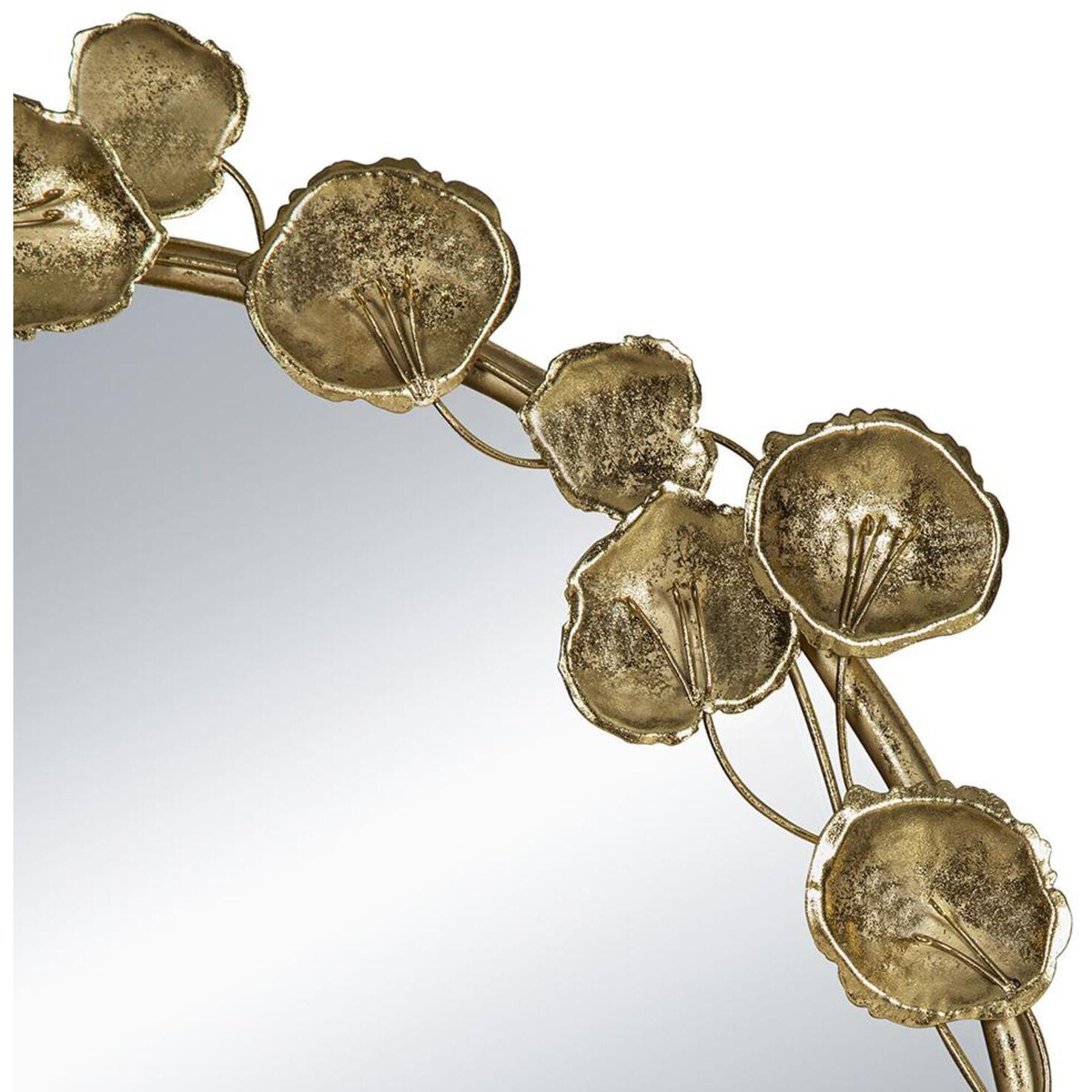 Anita 51.4 X 29.1 inch Gold Mirror