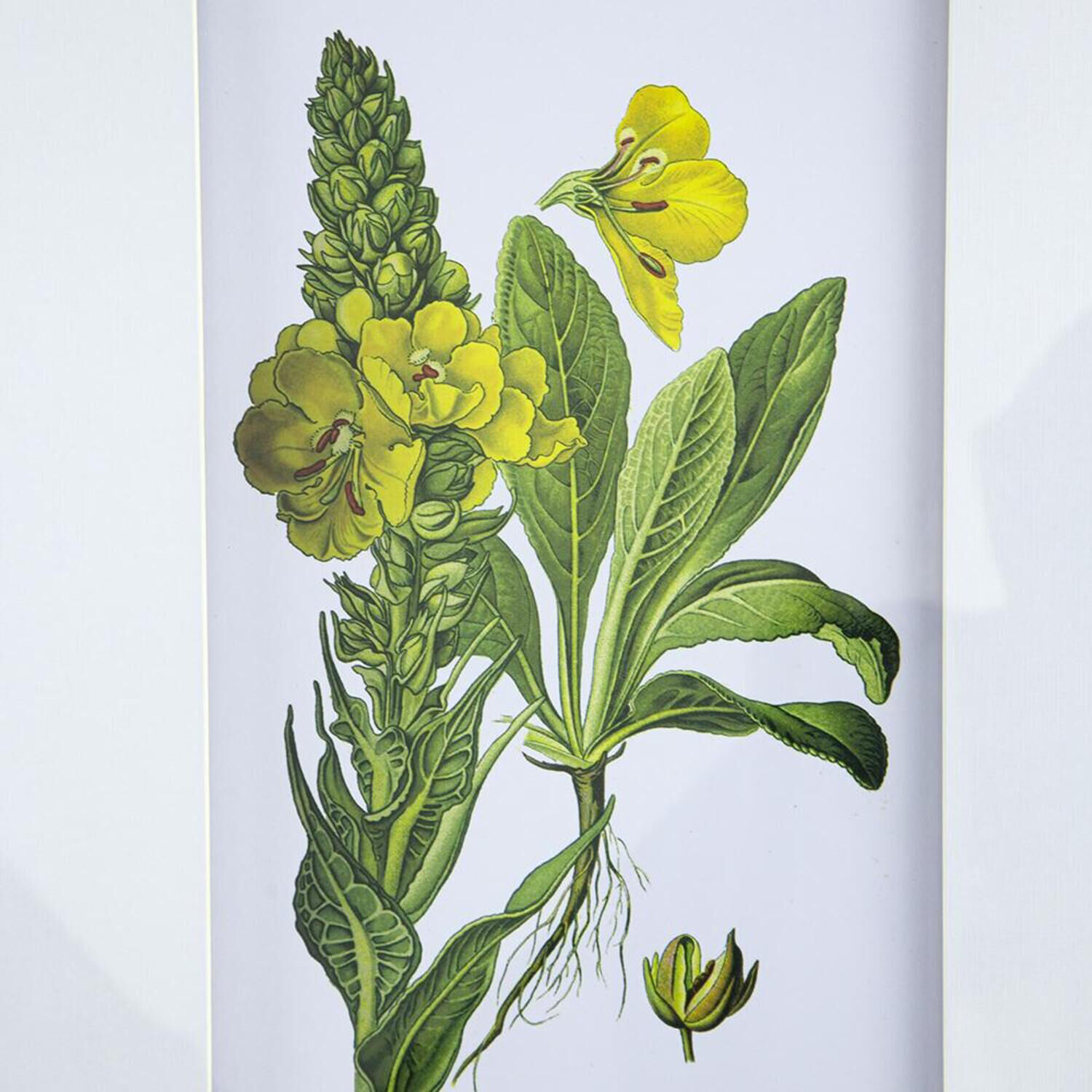 Anita Black/White Wall Art