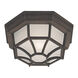 Signature 1 Light 11.5 inch Painted Rust Outdoor Flush Mount