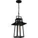 Devonport 1 Light 10 inch Matte Black Outdoor Hanging Lantern