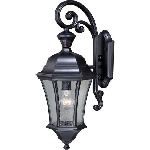 Aberdeen Shiny Black Outdoor Motion Sensor