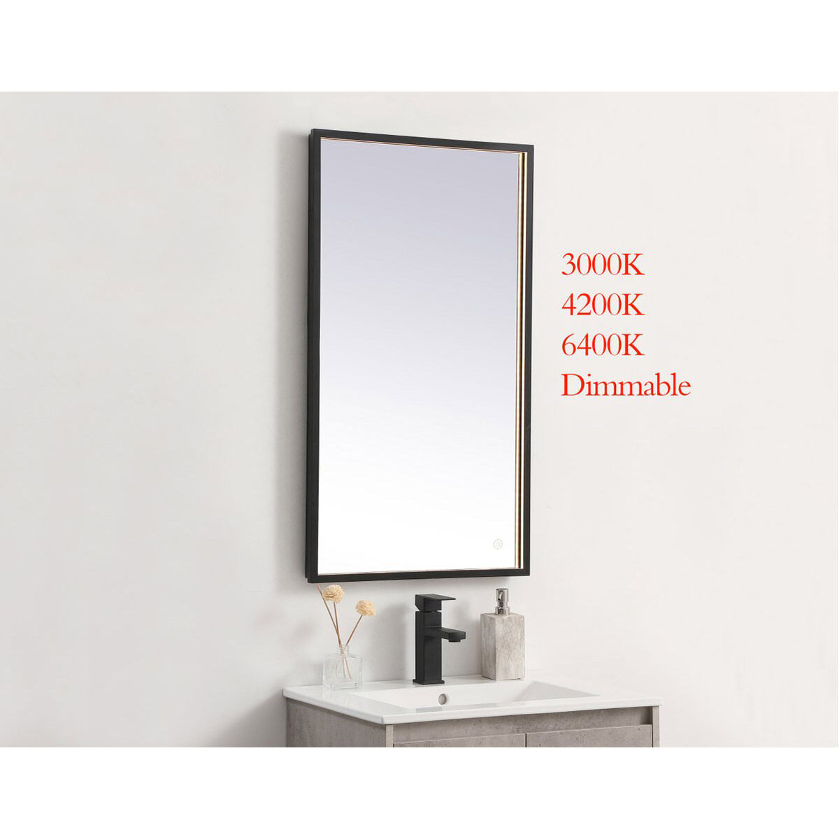 Pier 36 X 18 inch Black LED Mirror