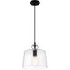 Clarity 1 Light 10 inch Coal Mini Pendant Ceiling Light
