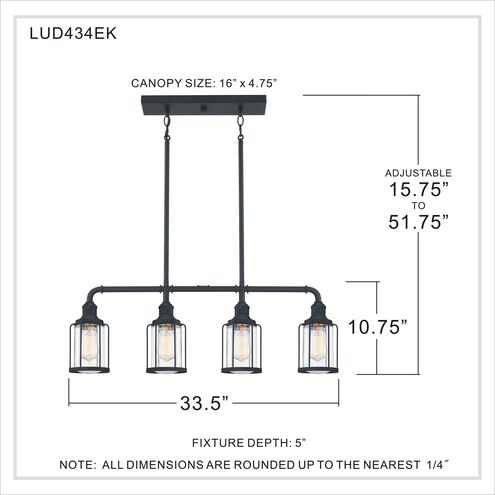 Ludlow 4 Light 34 inch Earth Black Linear Chandelier Ceiling Light
