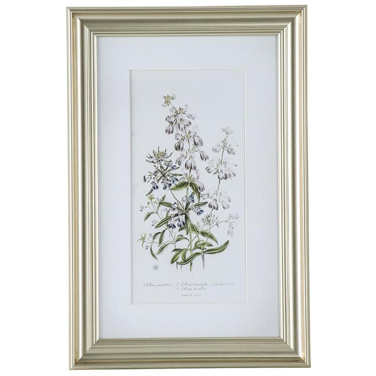 Floral Multi Color Wall Art, Set of 3