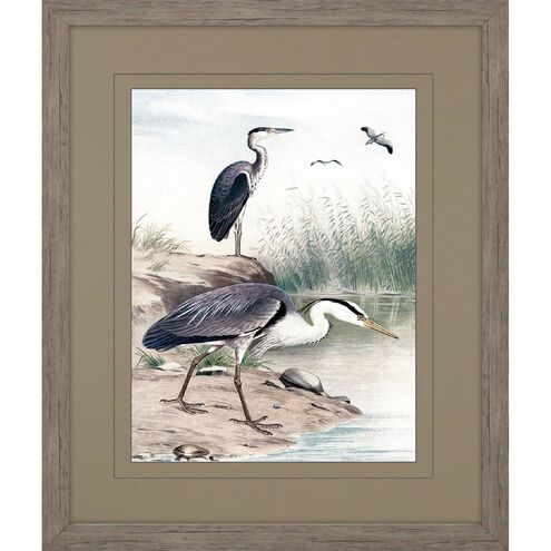 Animals Collection Green Framed Art