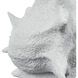 Tigertail Textured White Shell