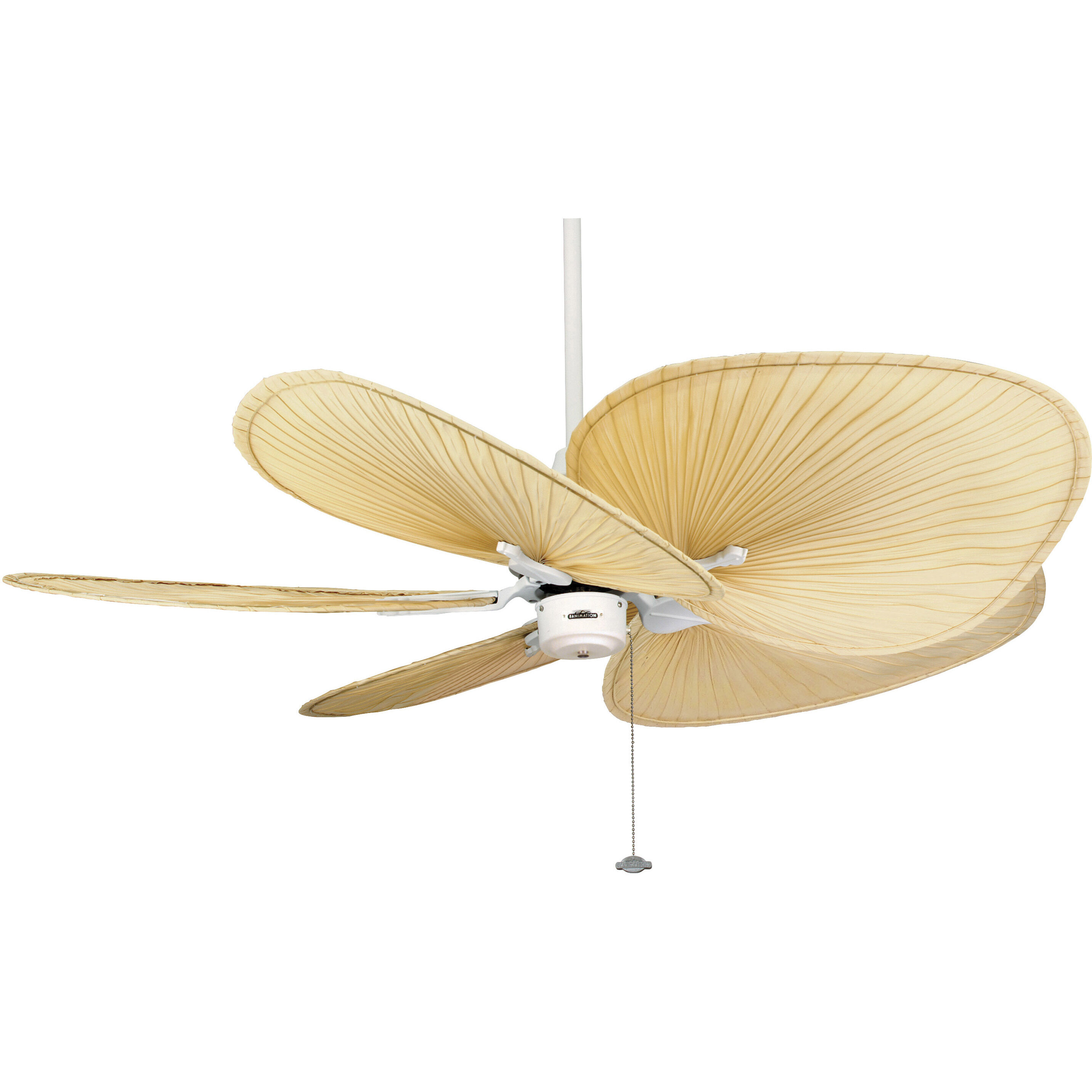 Blades Palm Natural Palm 22 inch Each Fan Blades