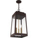 Oslo 3 Light 10.5 inch Bronze Outdoor Pendant Lantern