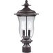 Trinity 2 Light 20 inch Oil Rubbed Bronze Outdoor Post Light, Medium
