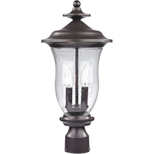 Trinity 2 Light 20 inch Oil Rubbed Bronze Outdoor Post Light, Medium
