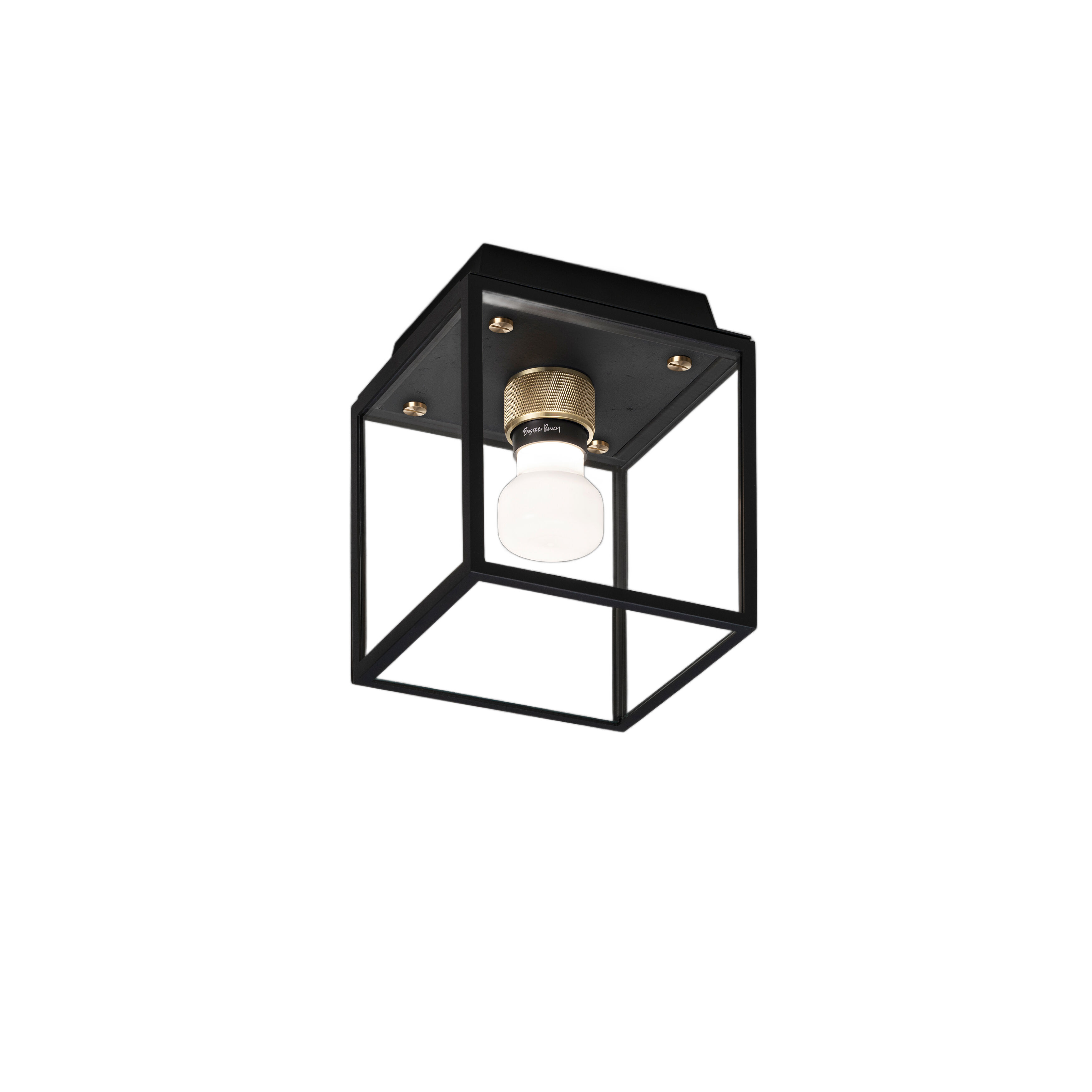 Caged Wet LED 6.81 inch Black / Brass Outdoor Semi-Flush Mount