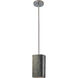 Radiance Collection LED 5.5 inch Hammered Brass with Dark Bronze Pendant Ceiling Light