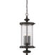Palmer 4 Light 12.5 inch Walnut Patina Outdoor Hanging Lantern