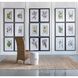 Smithsonian Black and Green/Yellow Wall Art, Assorted Fruit