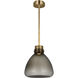 Avroko Morgan LED 12 inch Hand-Rubbed Antique Brass with Smoke Glass Pendant Ceiling Light