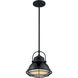 Upton 1 Light 10 inch Gloss Black and Silver Pendant Ceiling Light