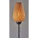 Hugo 68.25 inch 60 watt Black Floor Lamp Portable Light