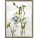 Florals Collection Multi Framed Art