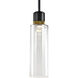 Zigrina 1 Light 5.88 inch Satin Brushed Black with Aged Brass Pendant Ceiling Light
