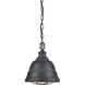 Bartlett Pendant Ceiling Light in Black Patina, Small