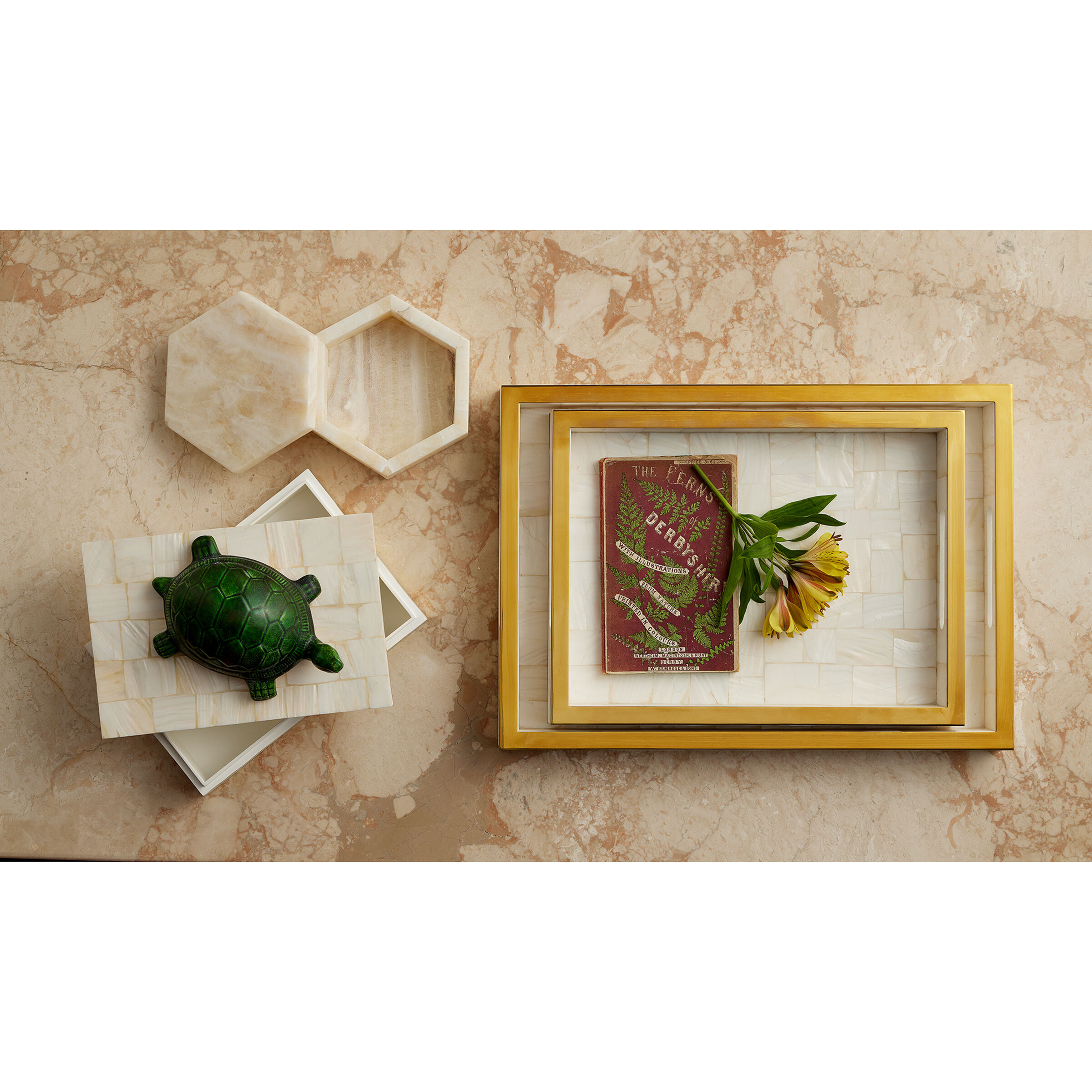 Casey Natural/Brass Trays, Set of 2