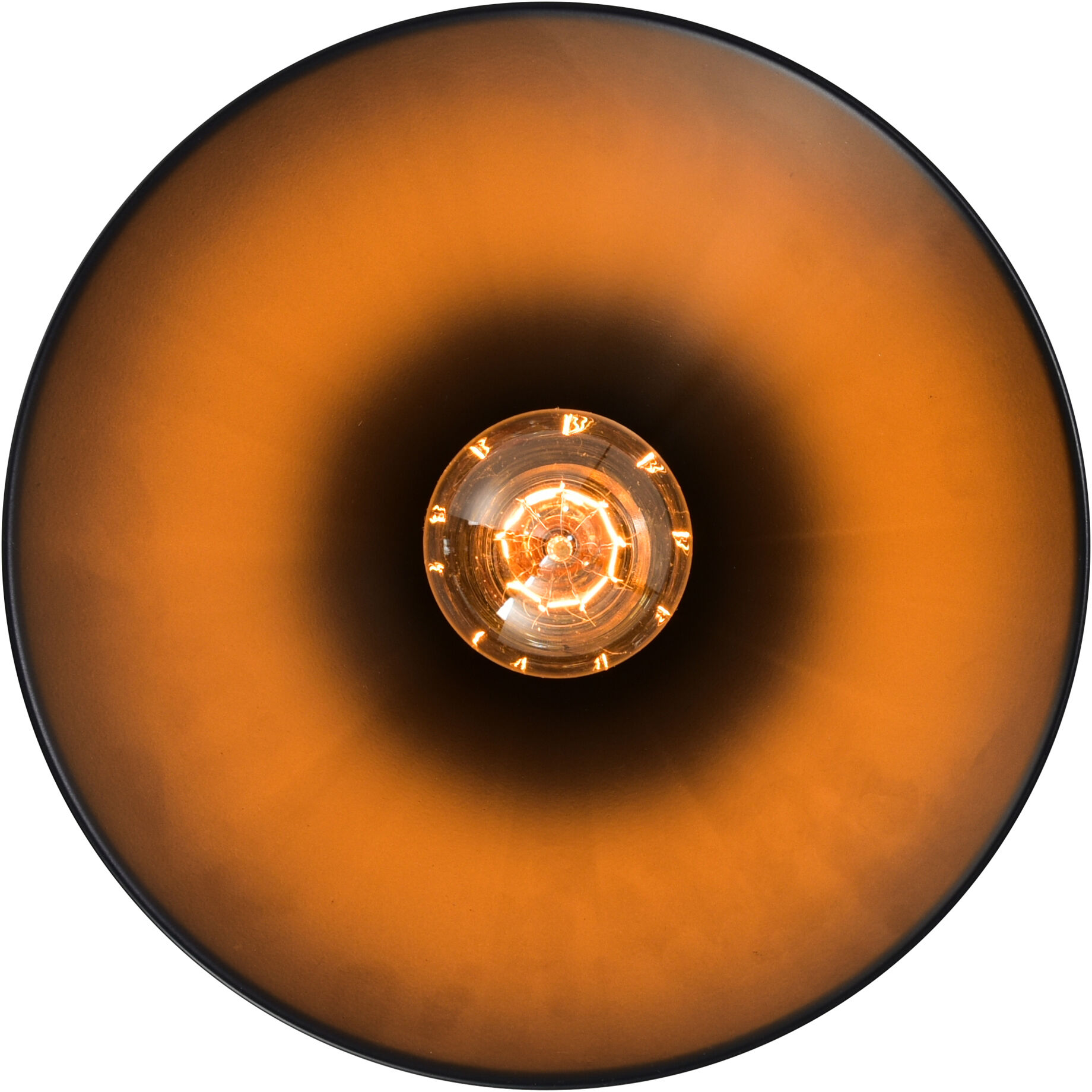 Brave 1 Light 8 inch Black Down Mini Pendant Ceiling Light