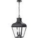 Edenton 3 Light 11 inch Matte Black Outdoor Hanging Pendant