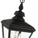Adams 3 Light 10.63 inch Black with Brushed Nickel Finish Cluster Outdoor Large Pendant Lantern Ceiling Light in Black with Brushed Nickel Accent