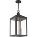 Nyack 3 Light 10.5 inch Scandinavian Gray Outdoor Pendant Lantern