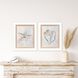 Serenity Shells Blue and Neutral Framed Art, Propac