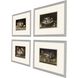 Paragon Multi and Black and Orange and Pink Framed Art