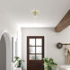 Willow 1 Light 6 inch Satin Brass Flush Mount Ceiling Light