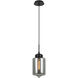 Irresistible Organic Charm 1 Light 7.13 inch Smoke Pendant Ceiling Light