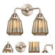 Nouveau 2 Chatham 2 Light 14 inch Brushed Satin Nickel Bath Vanity Light Wall Light in Mercury Glass