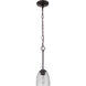 Neighborhood Serene 1 Light 6 inch Espresso Mini Pendant Ceiling Light in Clear Seeded, Neighborhood Collection