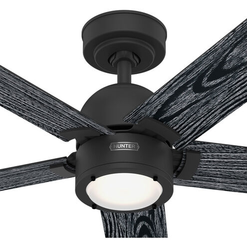 Erling 52 inch Matte Black with Salted Black/Matte Black Blades Ceiling Fan