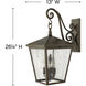 Heritage Trellis Outdoor Wall Mount Lantern in Regency Bronze, Non-LED, Extra Large