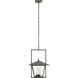 Temple 1 Light 19 inch Aged Bronze Pendant Ceiling Light, Ray Booth
