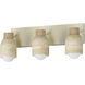 Pompeii 3 Light 21.00 inch Bathroom Vanity Light