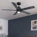 Erling 52 inch Matte Black with Salted Black/Matte Black Blades Ceiling Fan