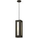 Dorian LED 6 inch Bronze Outdoor Hanging Lantern