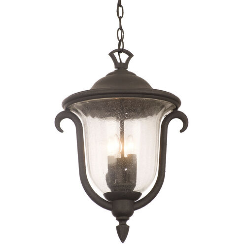 Santa Barbara Outdoor 3 Light 13 inch Textured Matte Black Hanging Lantern Ceiling Light