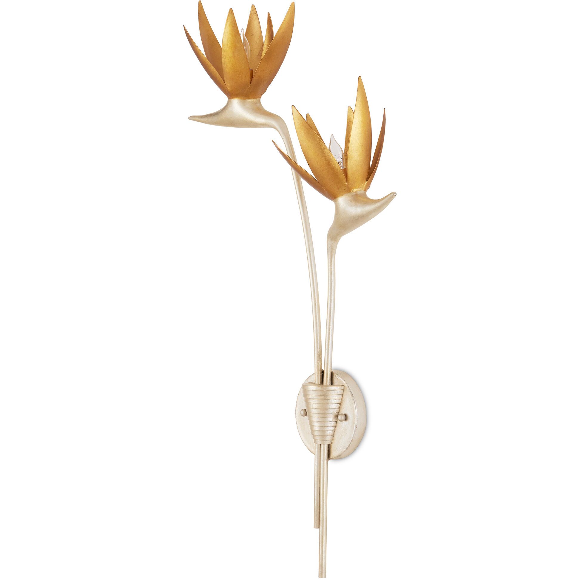 Paradiso Wall Sconce Wall Light, Left