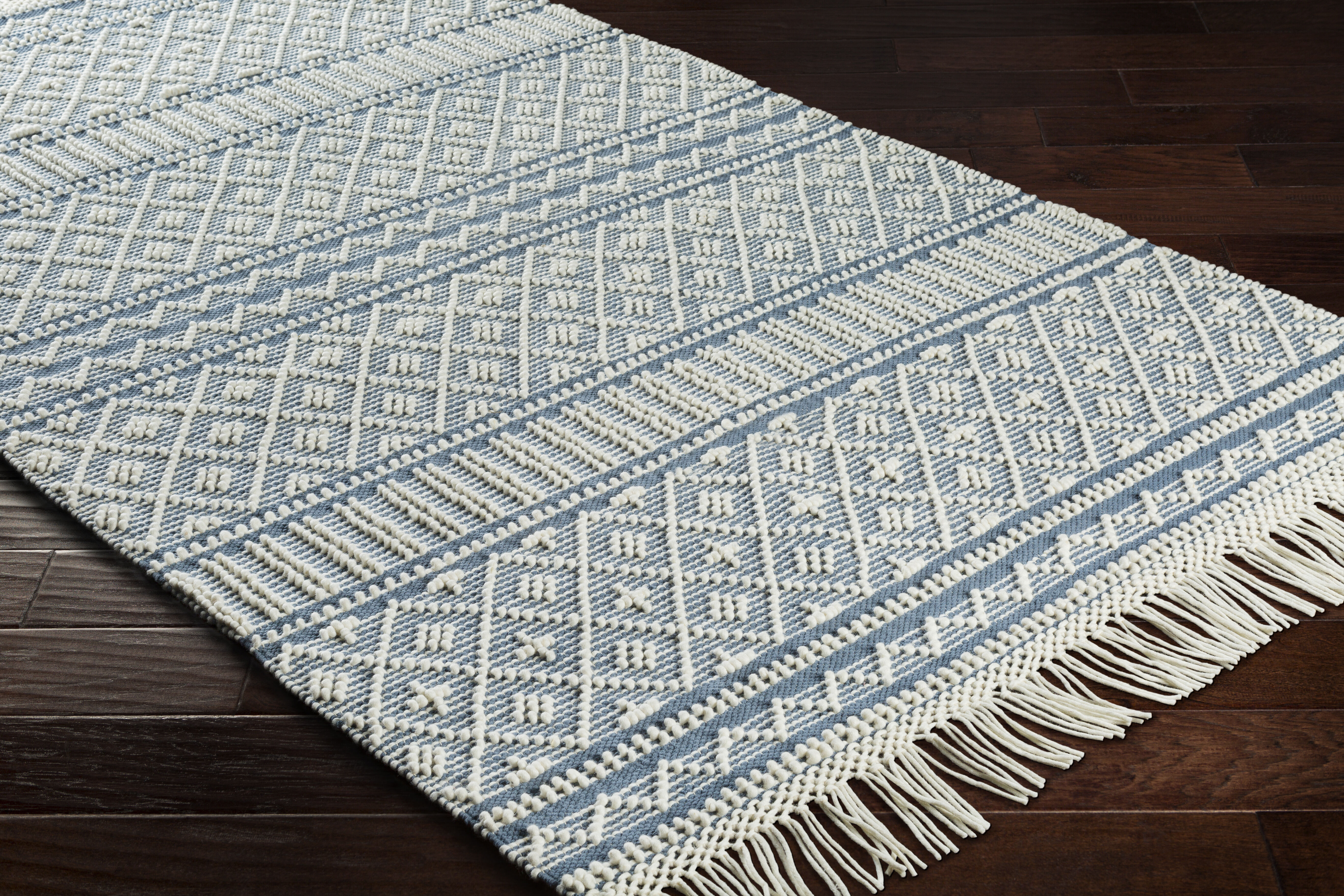 Farmhouse Tassels 60 X 36 inch Blue Rug in 3 x 5, Rectangle